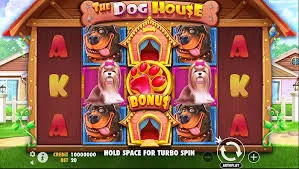 Our Top Five Casinos for The Dog House — Reviewed in Detail