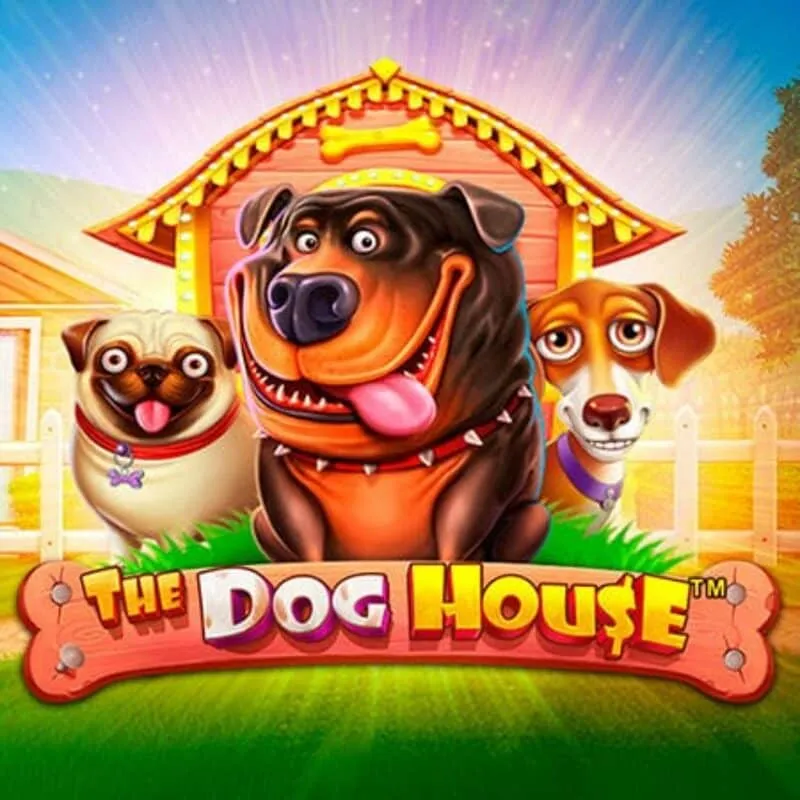Play The Dog House